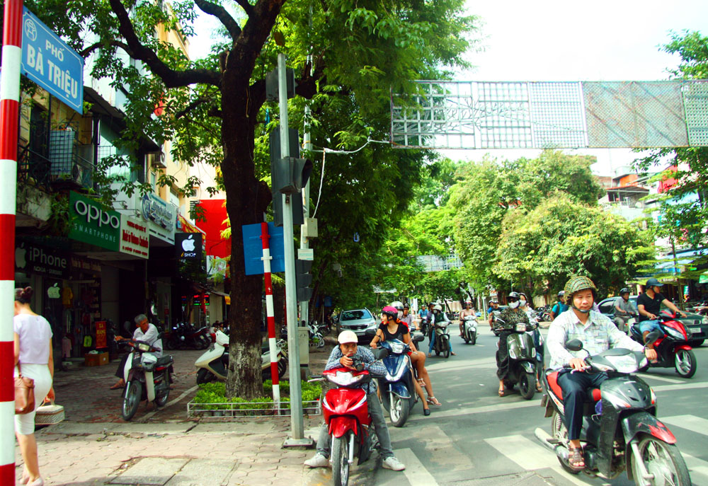 ban_nha_ba_trieu_ha_dong