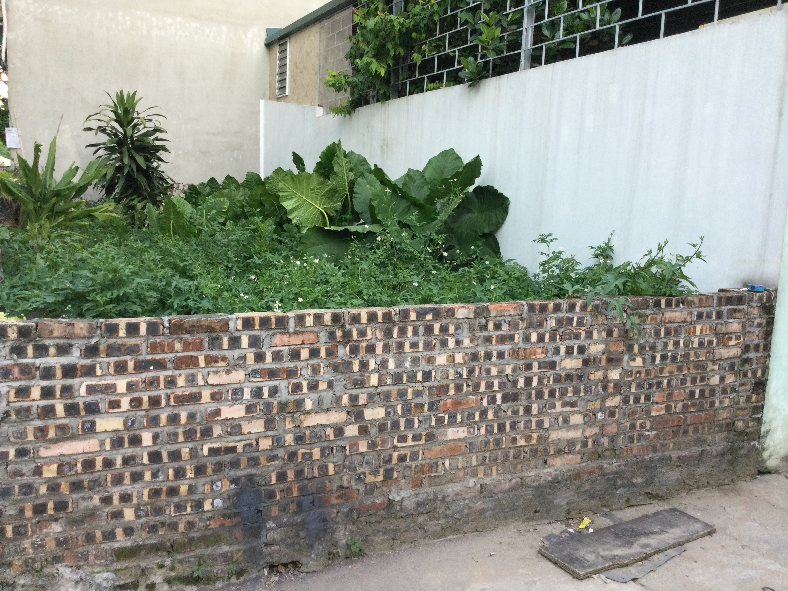 HIẾM CÓ ĐẤT PHÚC LỢI, OTO VÀO , SAU TRƯỜNG LÊ QUÝ ĐÔN, CHỈ 2,79 TỶ