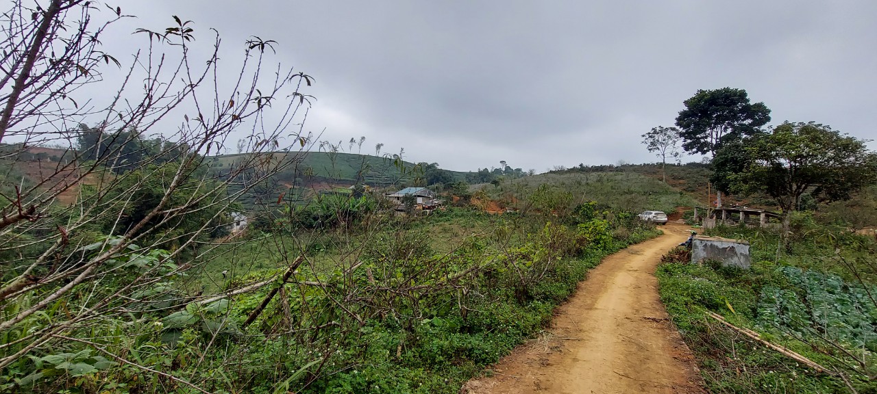 Bán Đất Mộc Châu - Mảnh Đất View Đẹp Diện Tích Lớn Gía Rẻ Chỉ Từ 1tr/m2