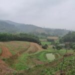  19000m2 - 3