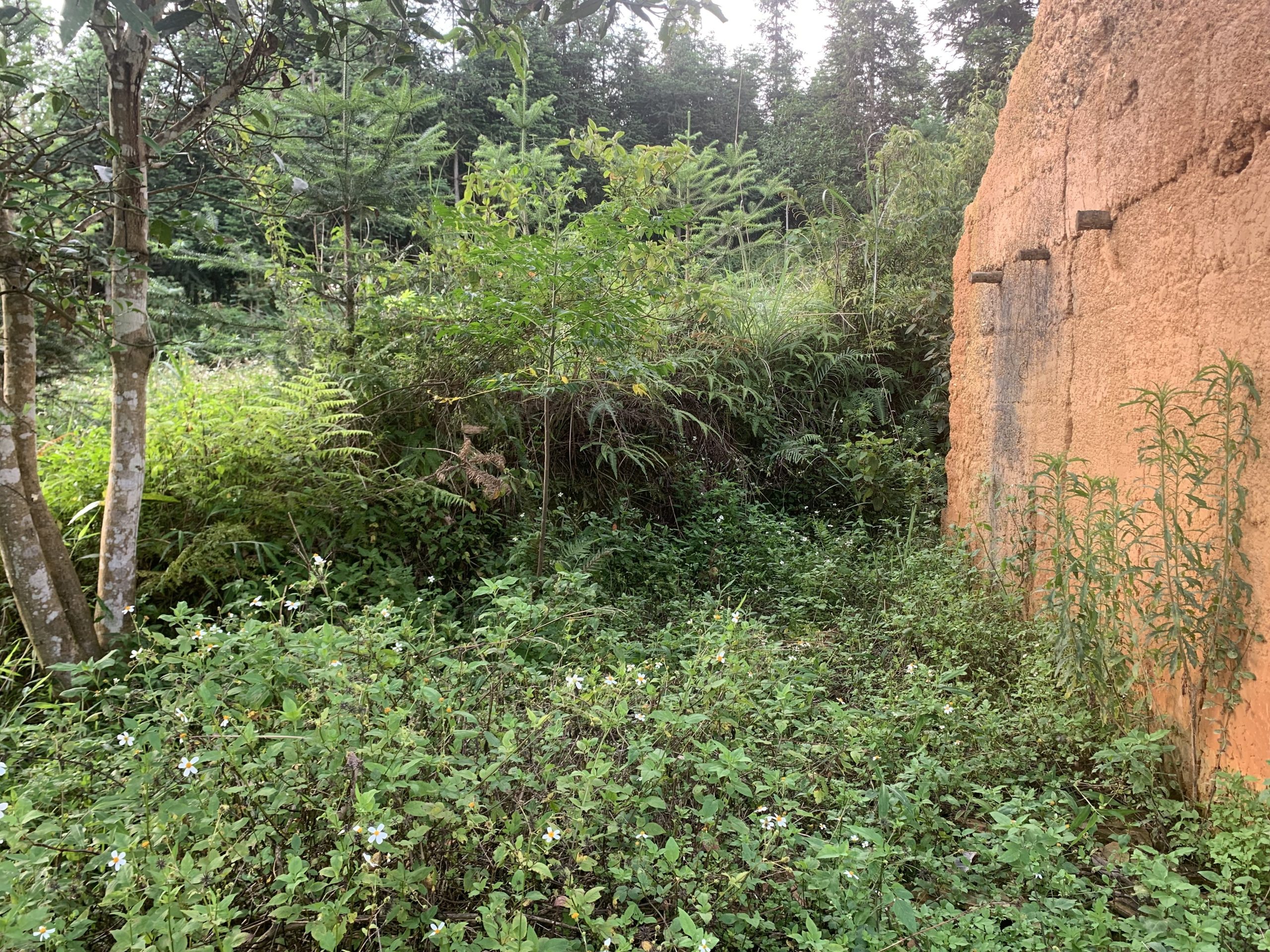 ĐẤT NỀN HÀ GIANG ĐÓN SÓNG QUY HOẠCH CAO TỐC TUYÊN QUANG – HÀ GIANG