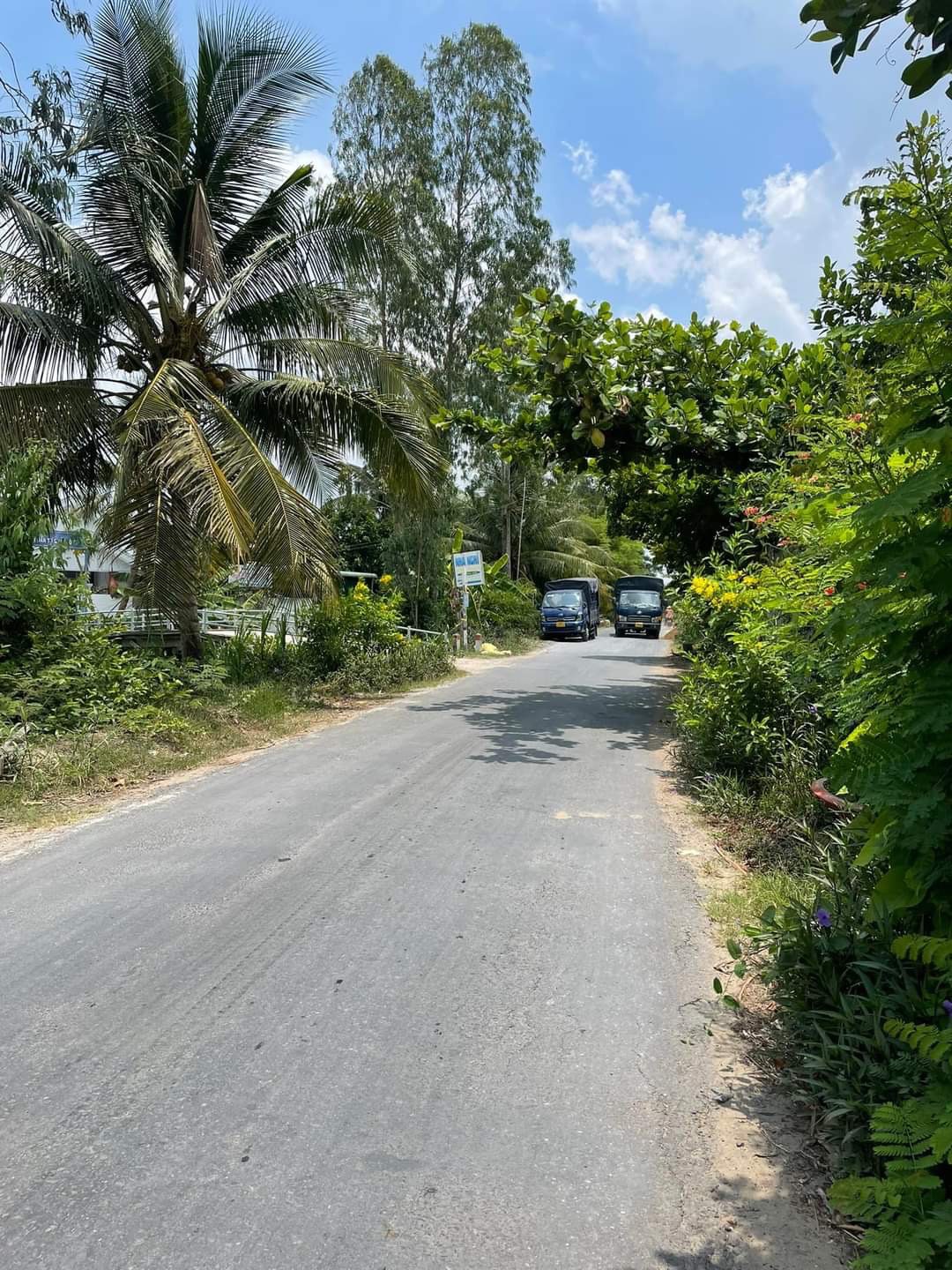 CẦN BÁN 2 NỀN ĐẤT LIỀN KỀ MẶT TIỀN LỘ XOÀI XÃ SONG BÌNH HUYỆN CHỢ GẠO TIỀN GIANG