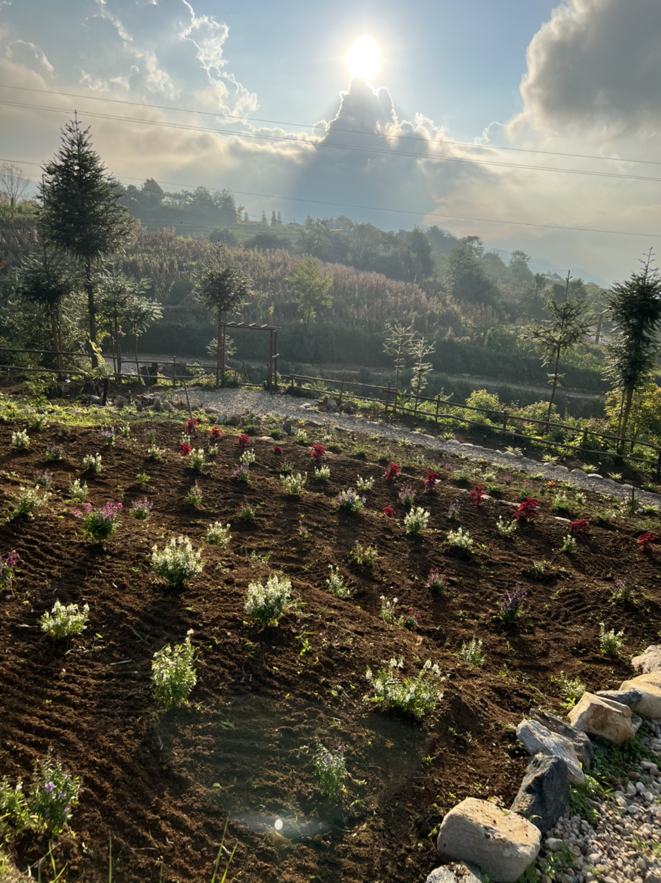 Bán Đất 2 Mặt Tiền, View Săn Mây, Thung Lũng Ruộc Bậc Thang Cực Đẹp Tại Y Tý, lào cai - Sapa 2