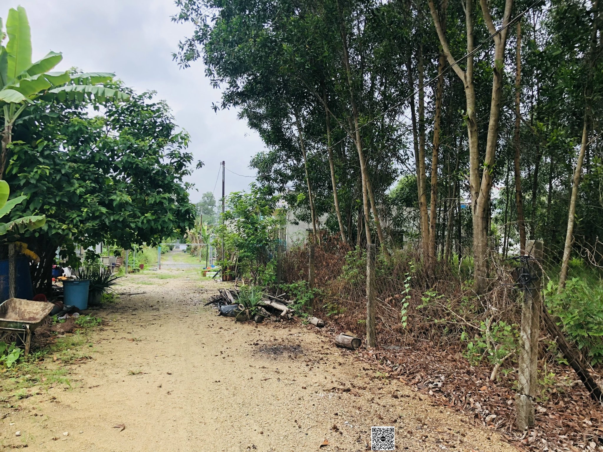 ĐẤT PHƯỚC THÁI, 6,5 X 24, 140 THỔ CƯ, GIÁ CHỈ 1 TỶ 3