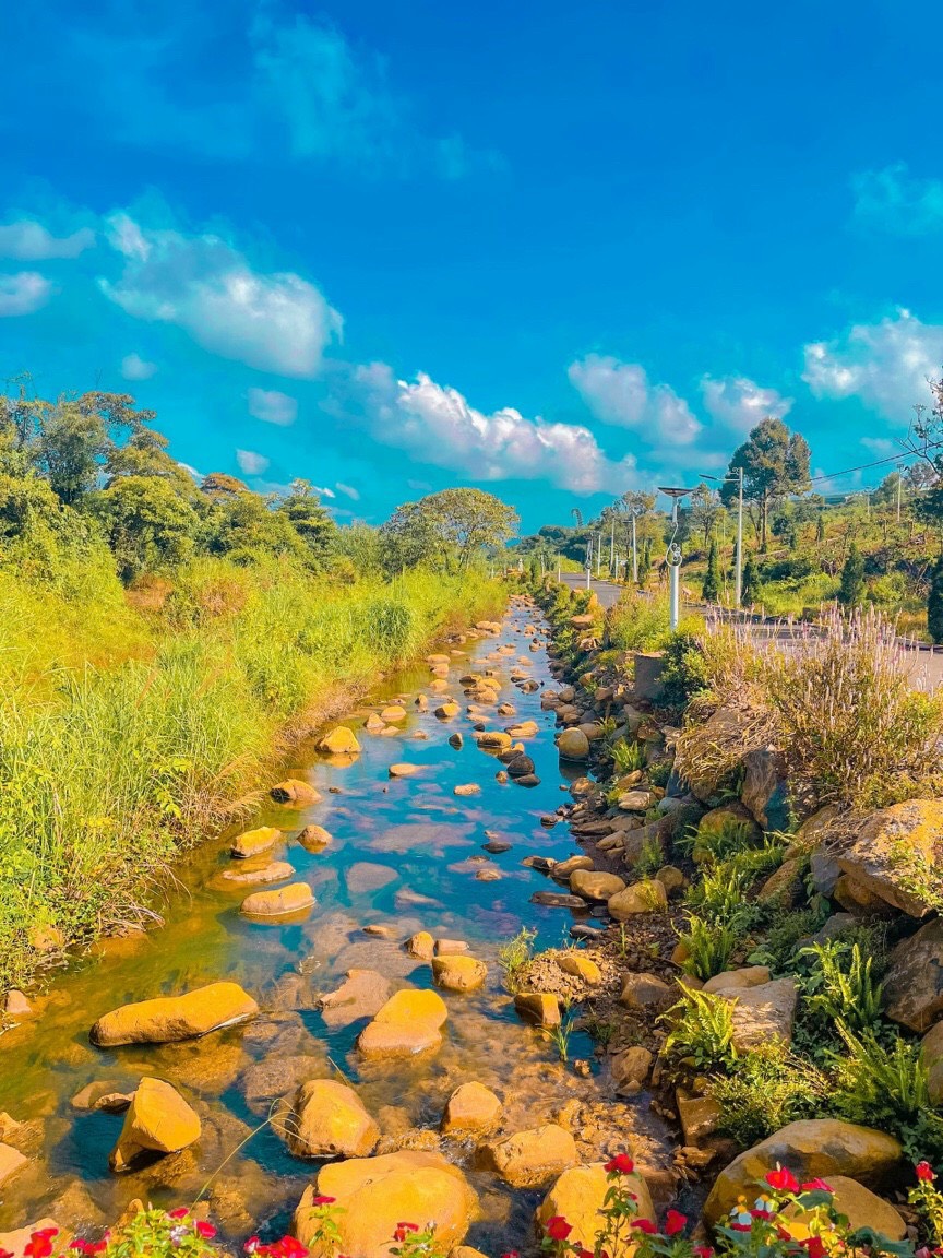 KHU ĐẤT VÀNG dựng Homestay cực xịn ngay TRUNG TÂM Bảo Lộc