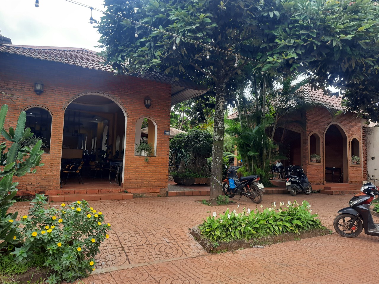 🔥Siêu phẩm đất nền sổ đỏ có sẵn tại trung tâm xã Phú Lộc, Krông Năng 💰