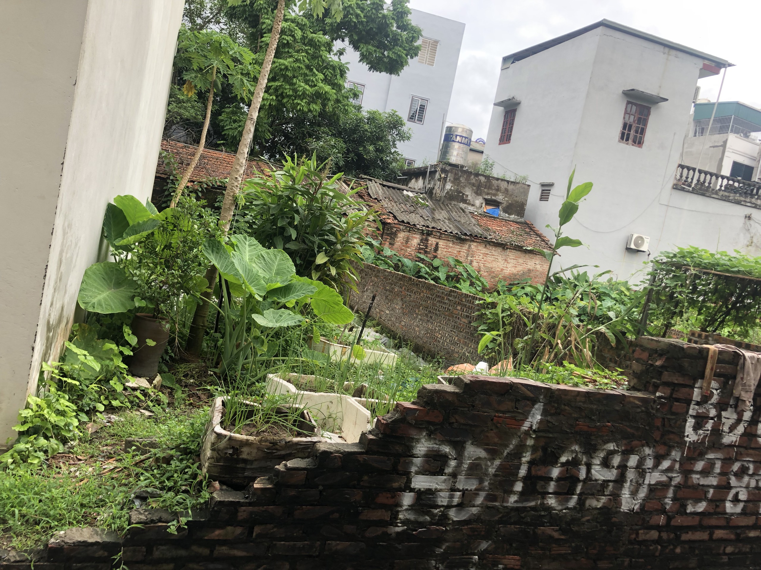 Chị Trang khẩn thiết nhờ bán 40m TĐC X6 Thạch Bàn, Long Biên: