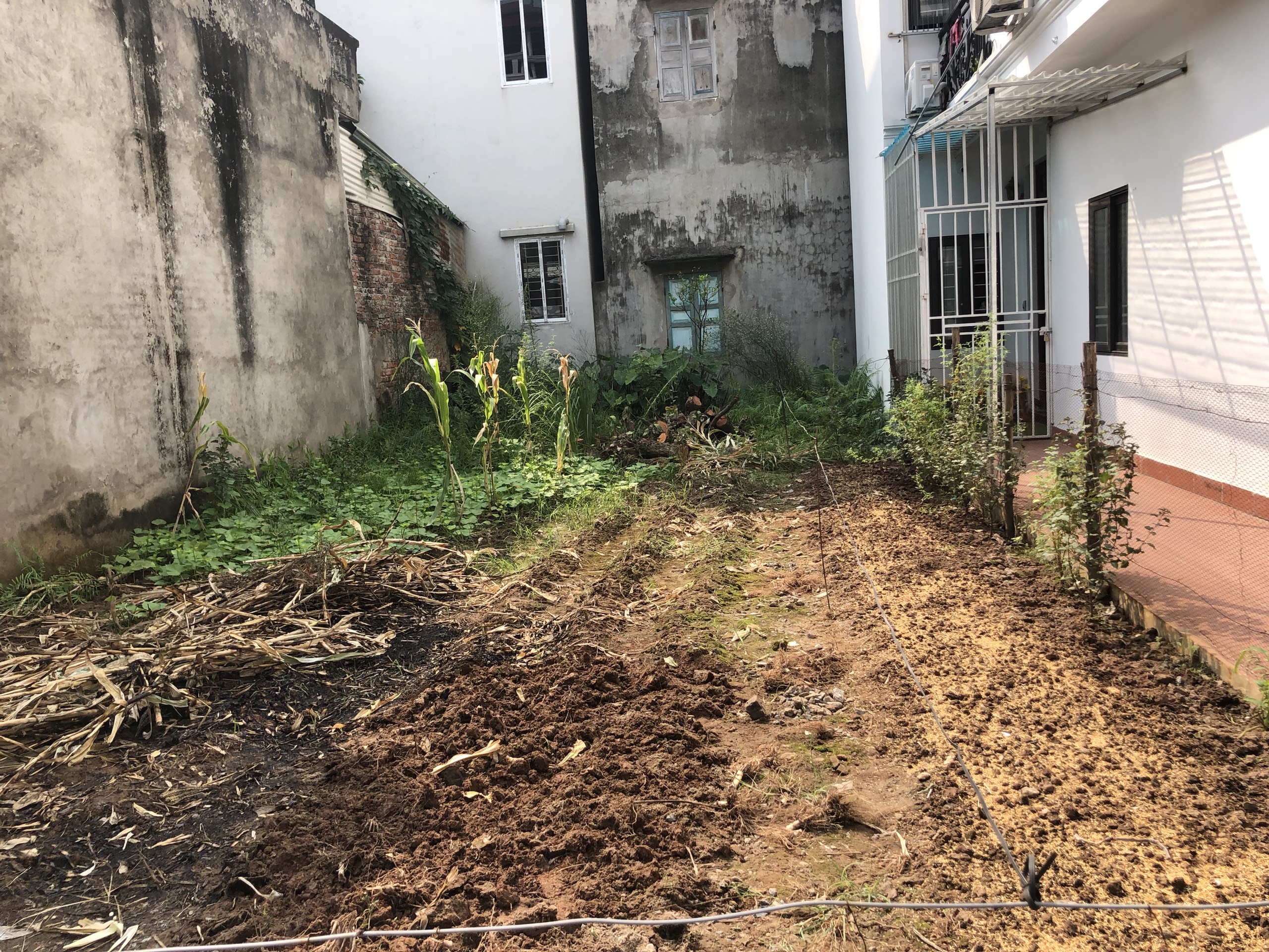 Vỡ nợ chủ nhà cần bán khẩn cấp 79 đất Tổ 15 Thạch Bàn, Long Biên: