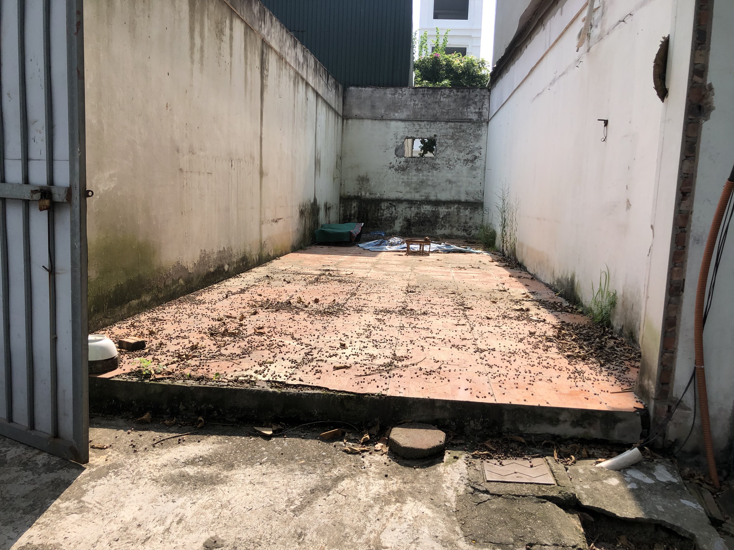 Vỡ nợ bán khẩn cấp 31m đất xóm 6 Đông Dư, Gia Lâm: