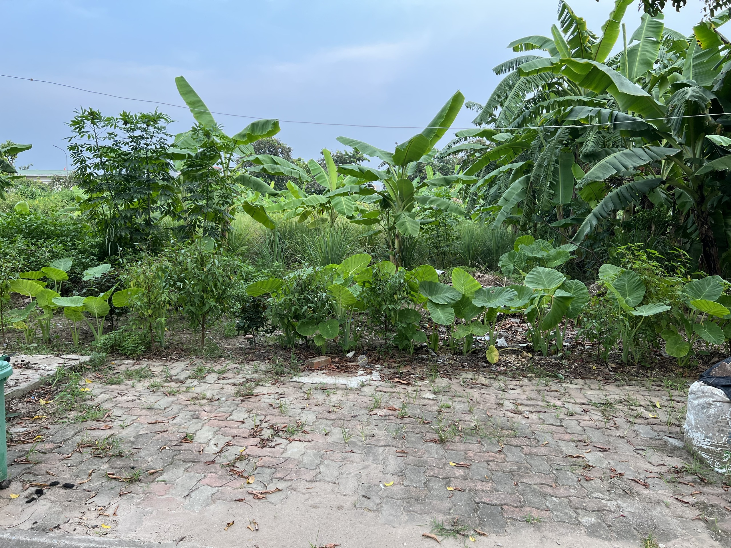 Chính chủ cần sang tên gấp lô 80m2 nằm tại trung tâm khu tái định cư Keo gần quốc lộ 17 xã Kim Sơn