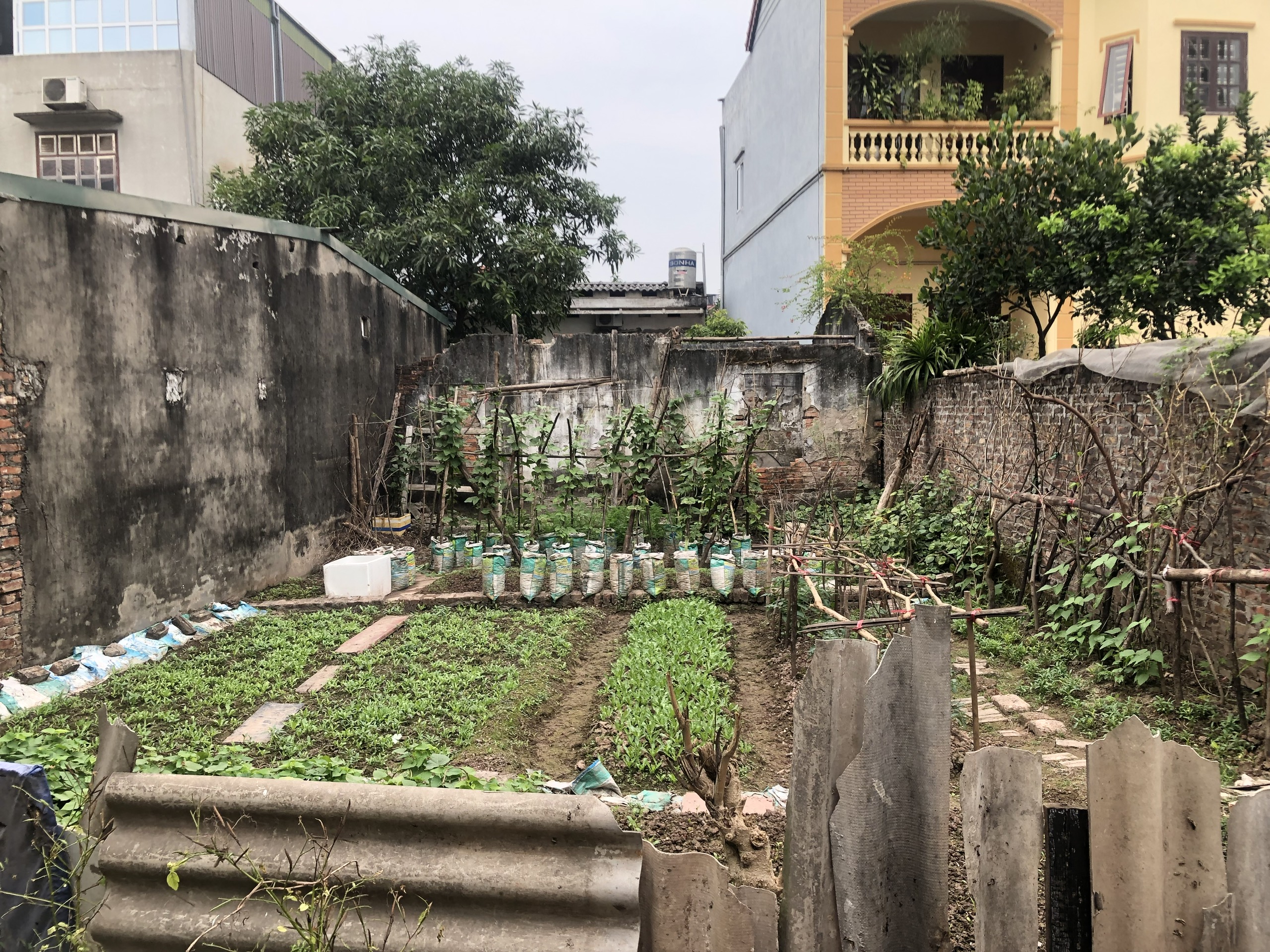 Chị gái cần tiền nhớ bán gấp mảnh đất thổ cư đối diện dự án TQ5 đường quy hoạch 13m tại Kiên Thành