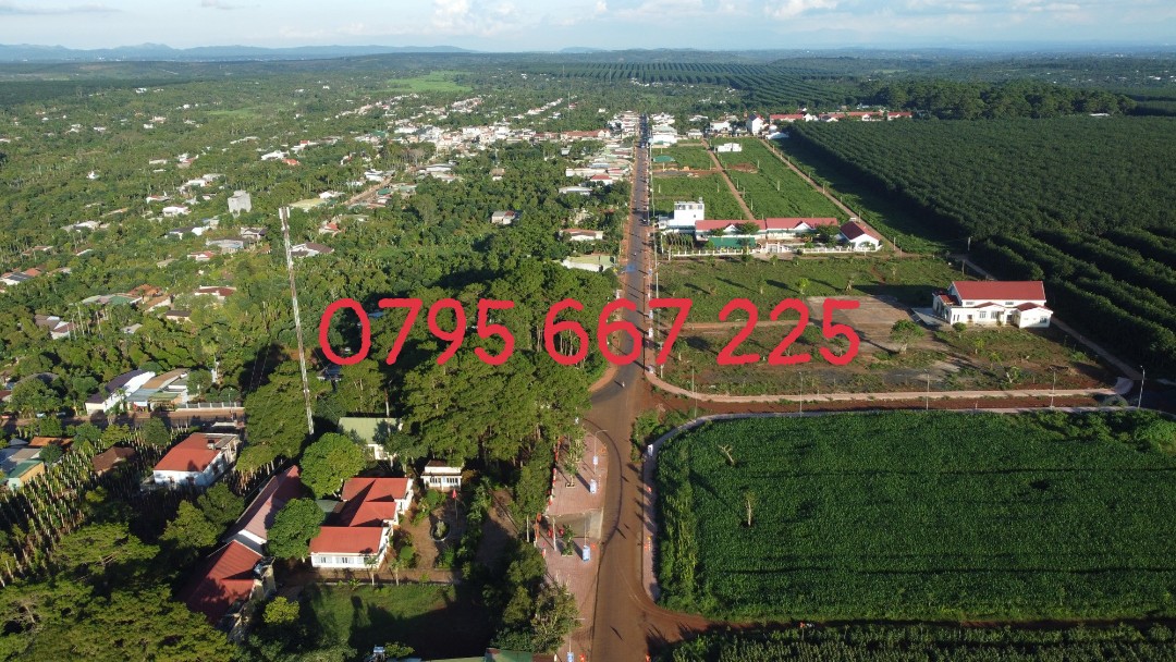 Em đang có vài lô Đất nền Sổ đỏ full thổ cư quy hoạch đường xá bàn cờ, hạ tầng bài bản