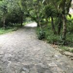  6500m2 - 1