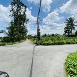  1000m2 - 5