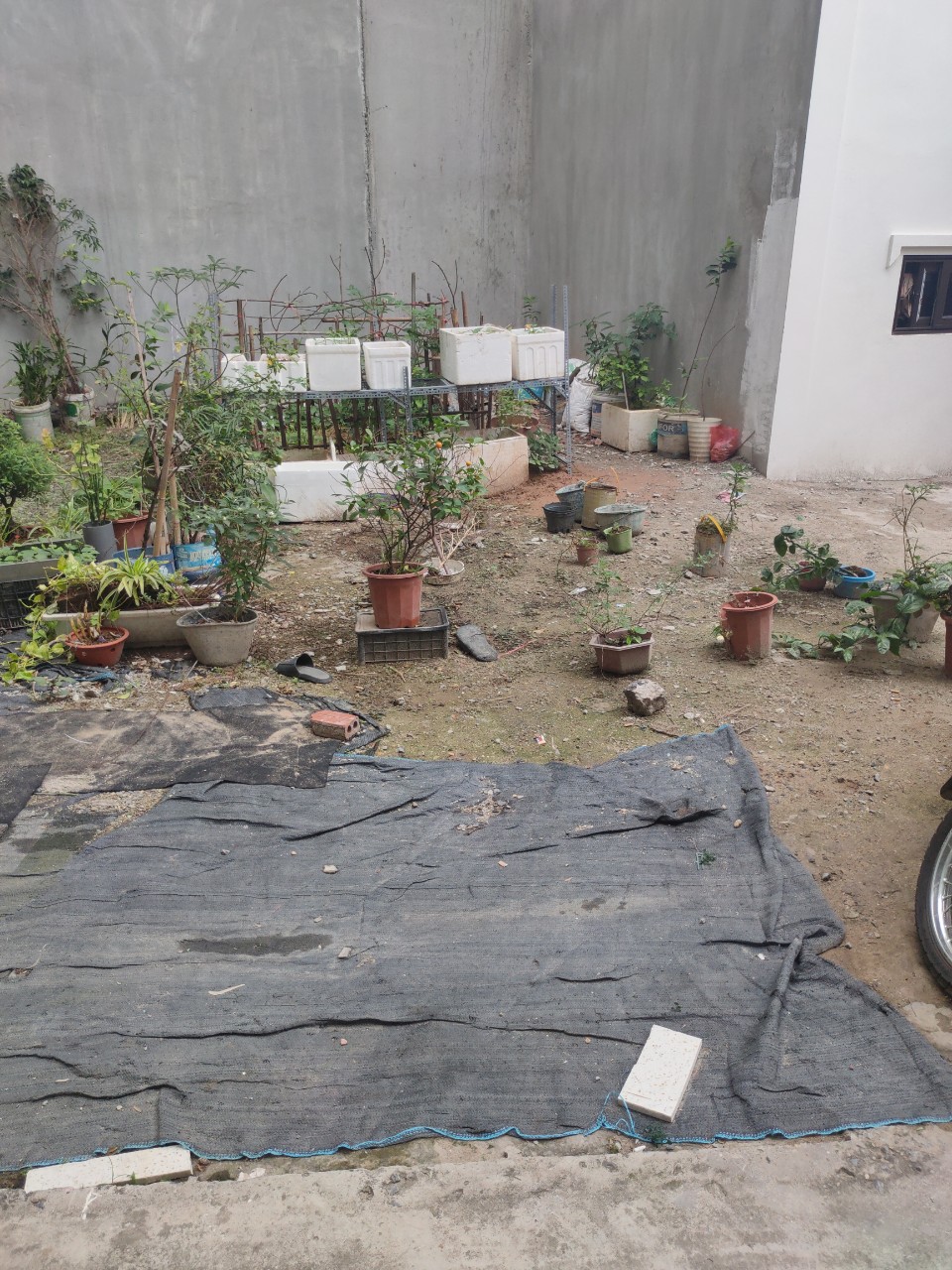 BÁN ĐẤT NGÕ 54 PHỐ TÂY BẮC TỪ LIÊM; 200m ĐẾN TRƯỜNG ĐẠI HỌC CÔNG NGHIỆP; SỐ 35,6m; MẶT TIỀN 3,8m; GIÁ 1,76 tỷ