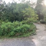  64m2 - 4