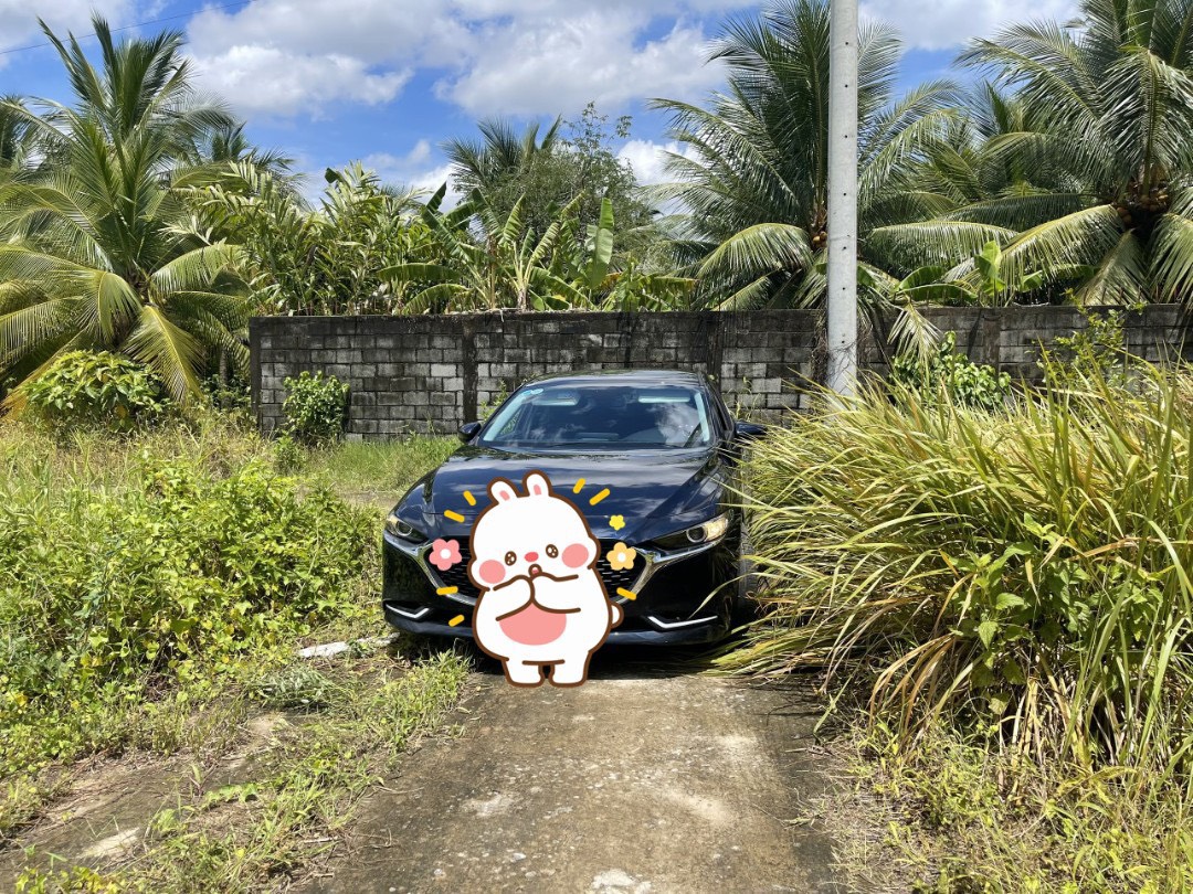 Bán nhanh đất nền góc 2 mặt tiền ấp Bình Phong xã Tân Mỹ Chánh Tp. Mỹ Tho Tiền Giang