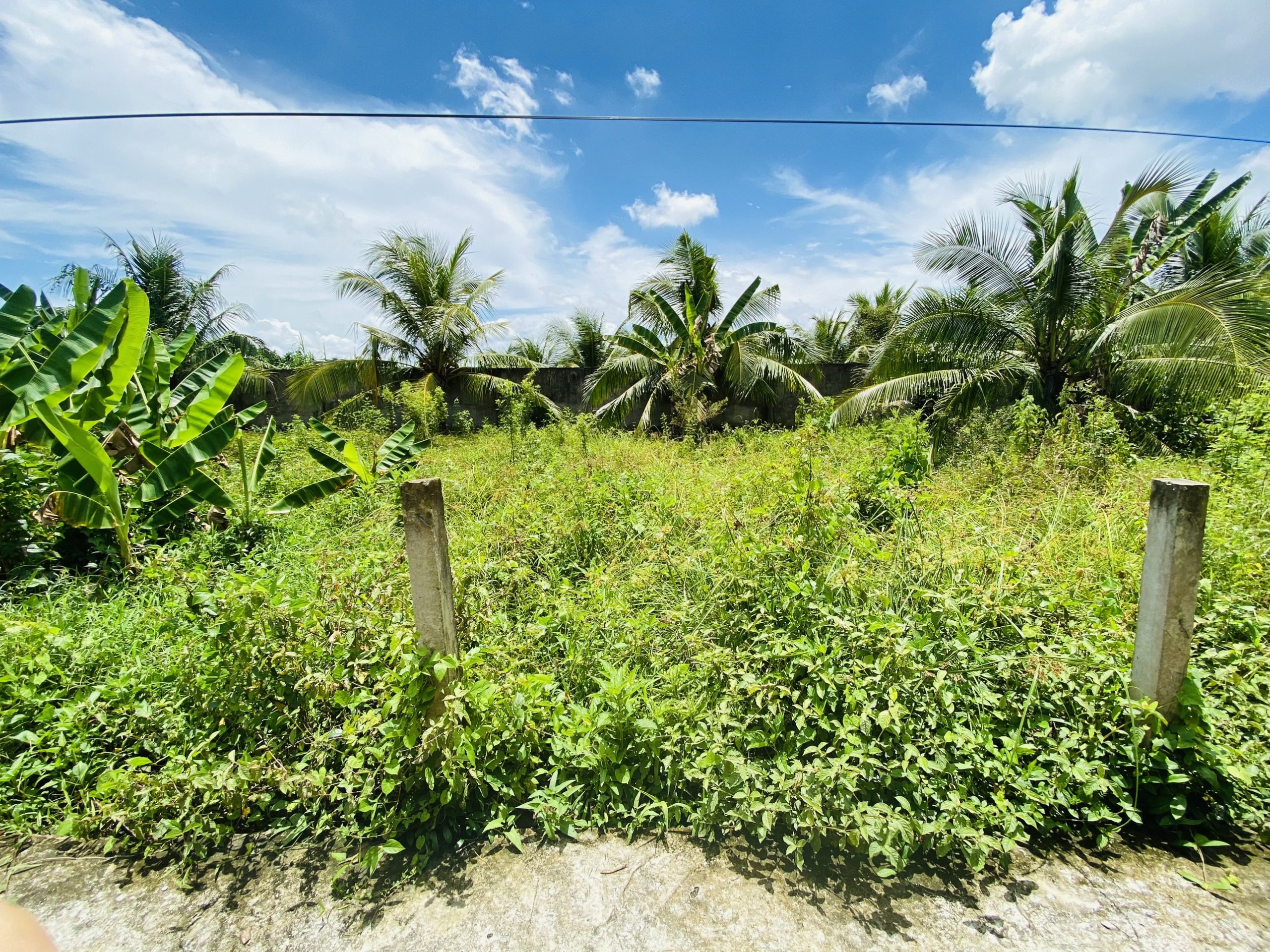 Bán nhanh đất nền thổ cư thuộc Long Hòa A xã Đạo Thạnh Tp. Mỹ Tho Tiền Giang