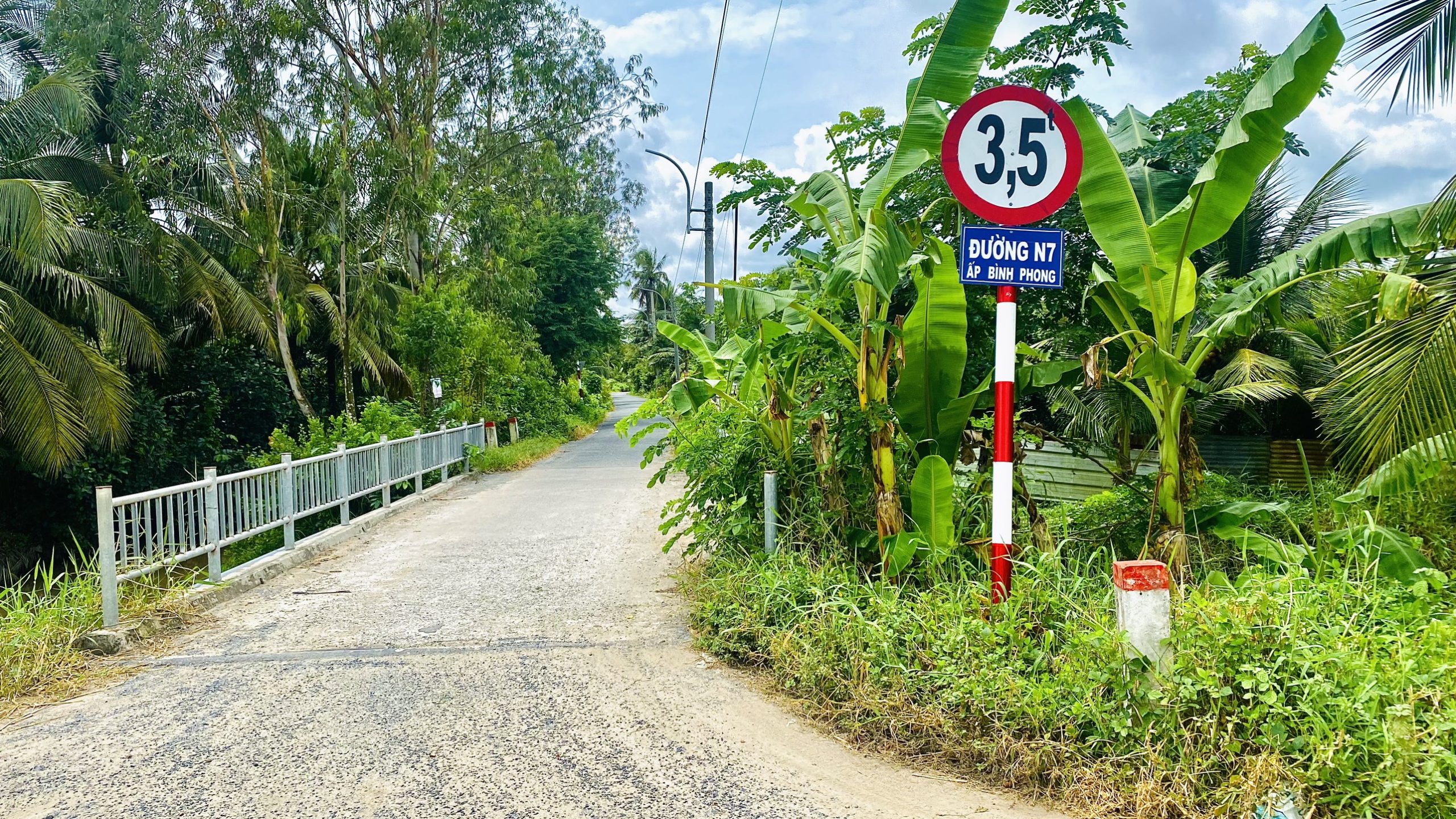 Bán nhanh 2 công đất đang trồng bưởi tại xã Tân Mỹ Chánh Tp. Mỹ Tho Tiền Giang