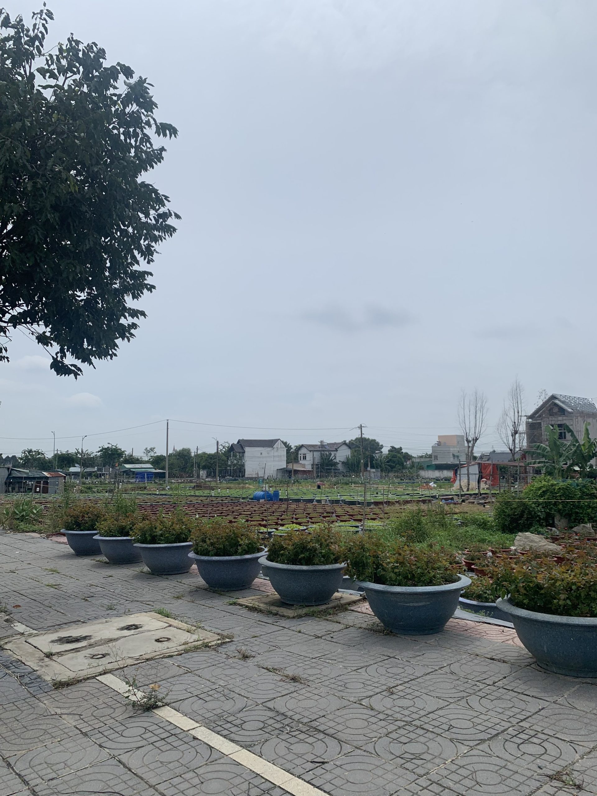 Đất mặt tiền chợ QL51 giá ngộp hơn 1T (NH hỗ trợ)