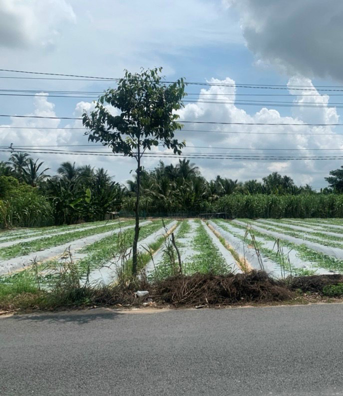 Bán nhanh mảnh đất đường Nguyễn Văn Quy DT 1270m2