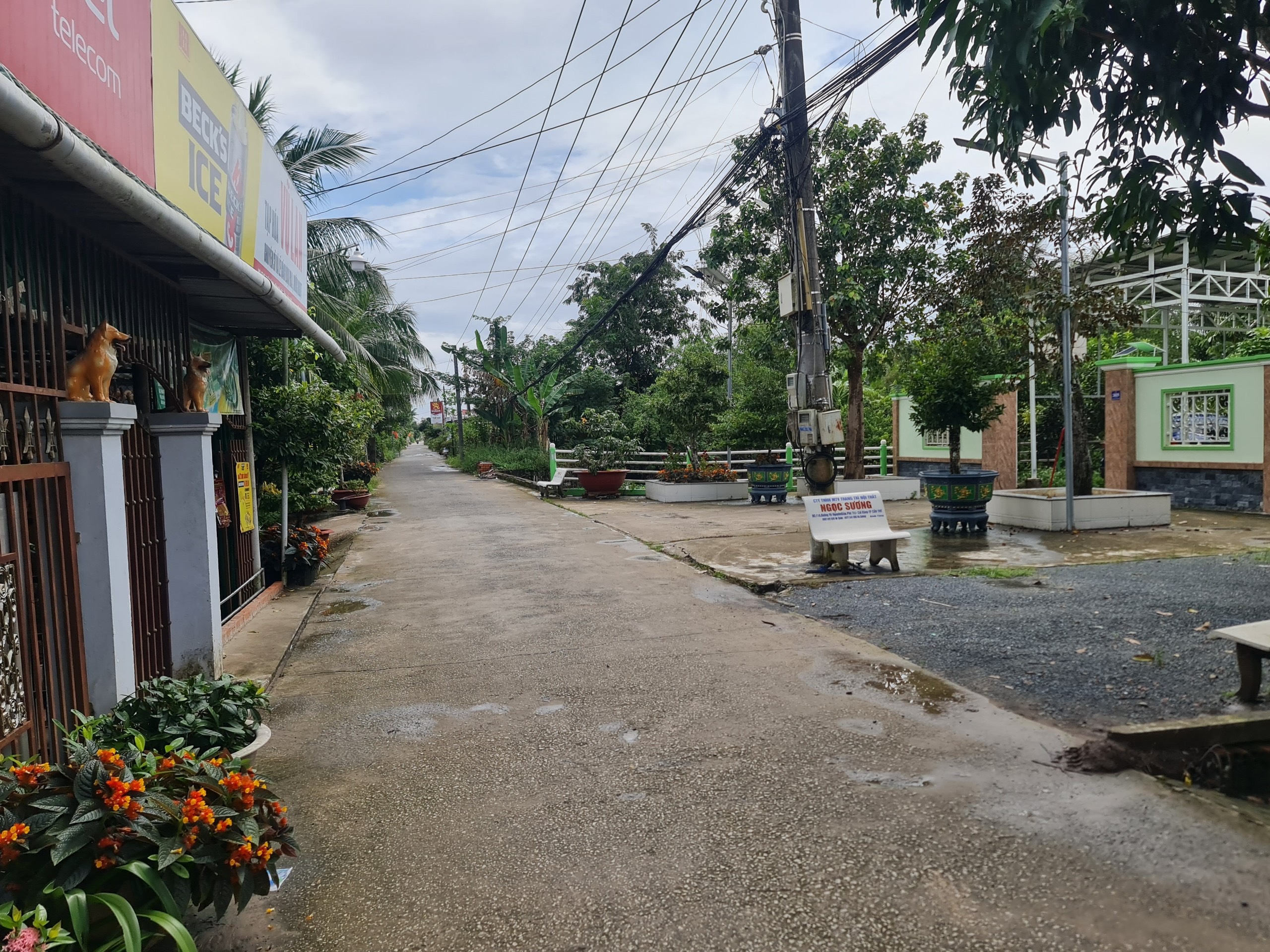 Bán đất hẻm nhánh đường Chí Sinh DT 492m2