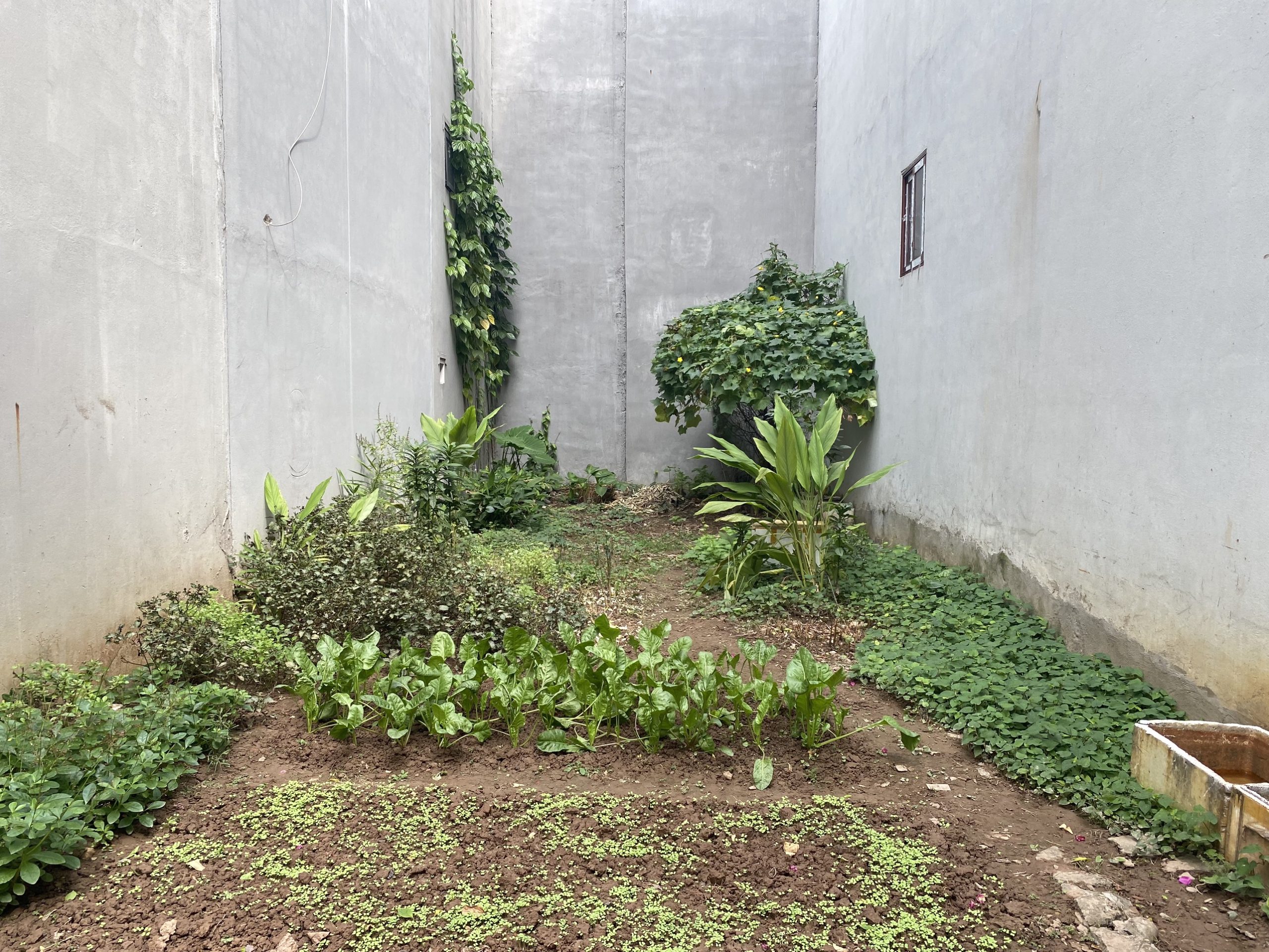 Chị gái cần tiền lo việc cho con nhờ bán nhanh mảnh đất đẹp nằm trong ngõ 197 Ngô Xuân Quảng