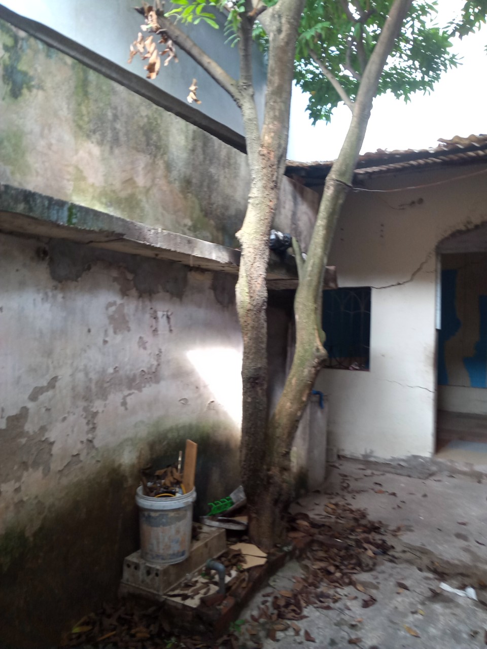 BÁN RẺ 35,5M ĐẤT NGÕ 18 TẢ THANH OAI