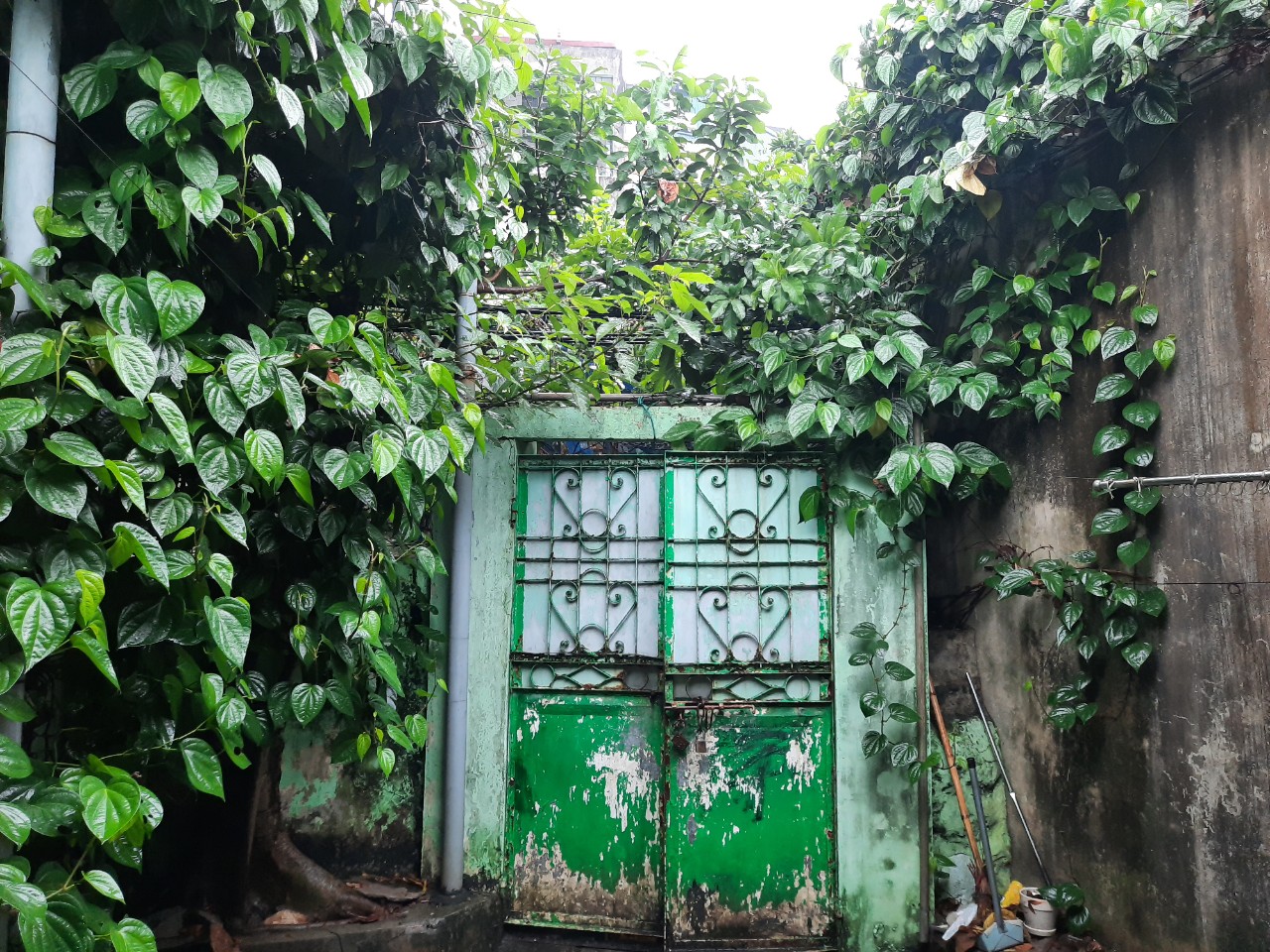 Chính chủ bán nhà cấp 4 55m2 ngõ 1 Xuân Phương Hà Nội giá 700 triệu