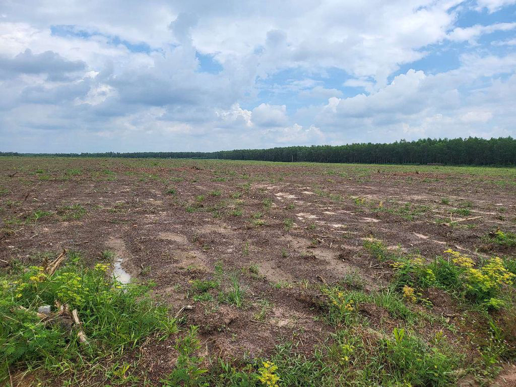 Hot! Hot! Chính chủ cần bán đất nền tại Bình Phước