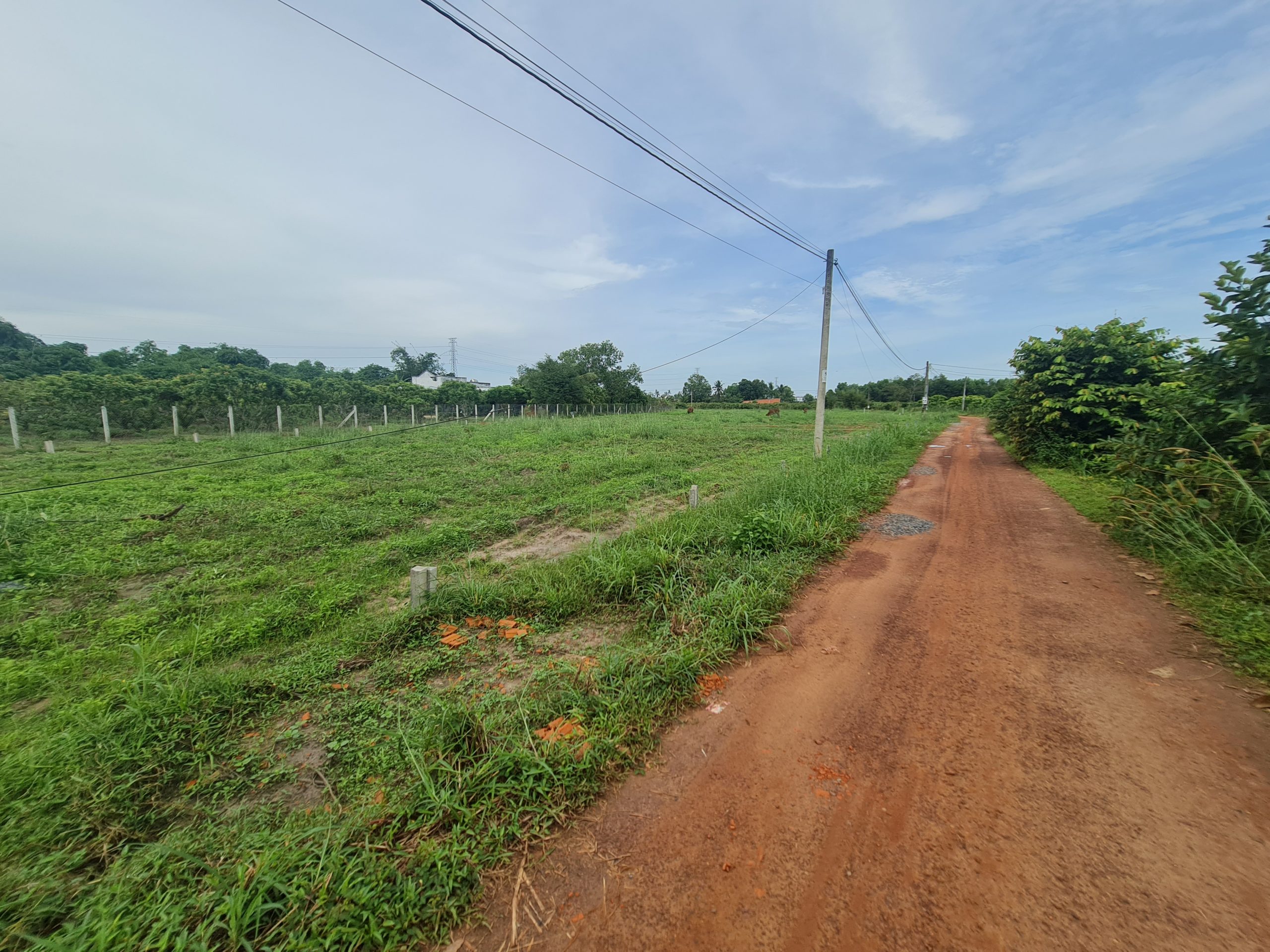 bàu đồn gò dầu cần bán vài lô full thổ cư