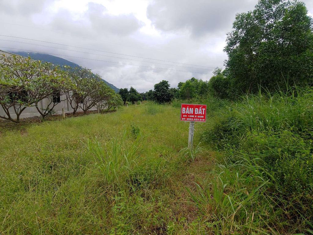 Hot! Chính chủ cần bán đất vị trí đắc địa tại Tây Ninh