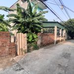 46m2