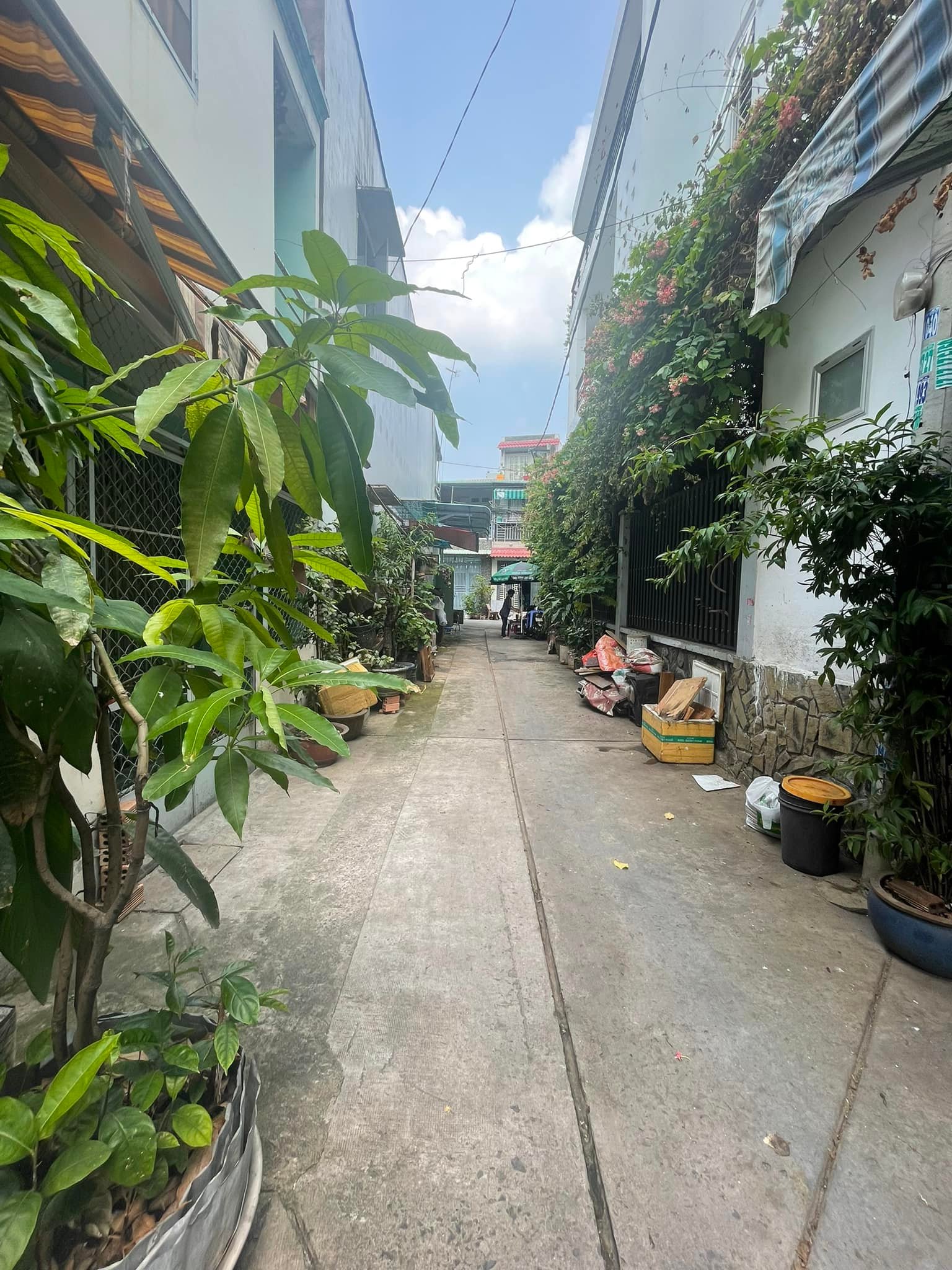 Hạ 1 tỷ bán nhà Bình Tân, 2 mặt hẻm xe hơi, 64m2 chỉ 5 tỷ nhình