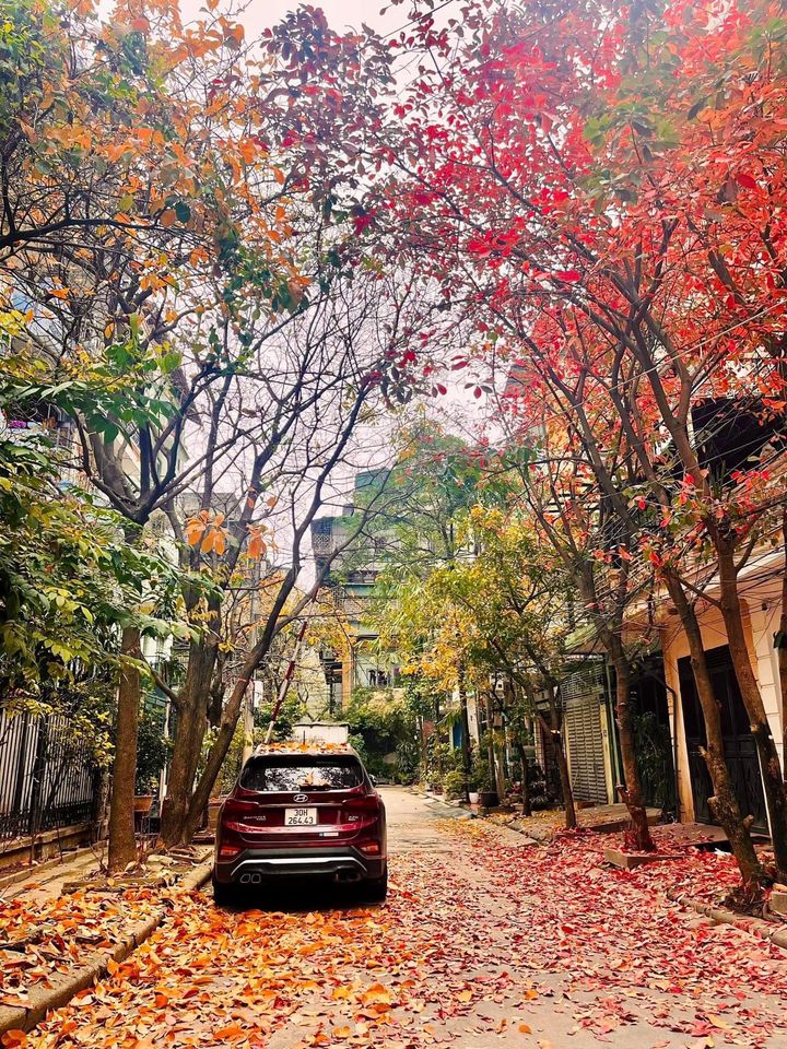 CHÍNH CHỦ BÁN NHÀ 63M2 X 4 TẦNG KHU PHÂN LÔ BA ĐÌNH