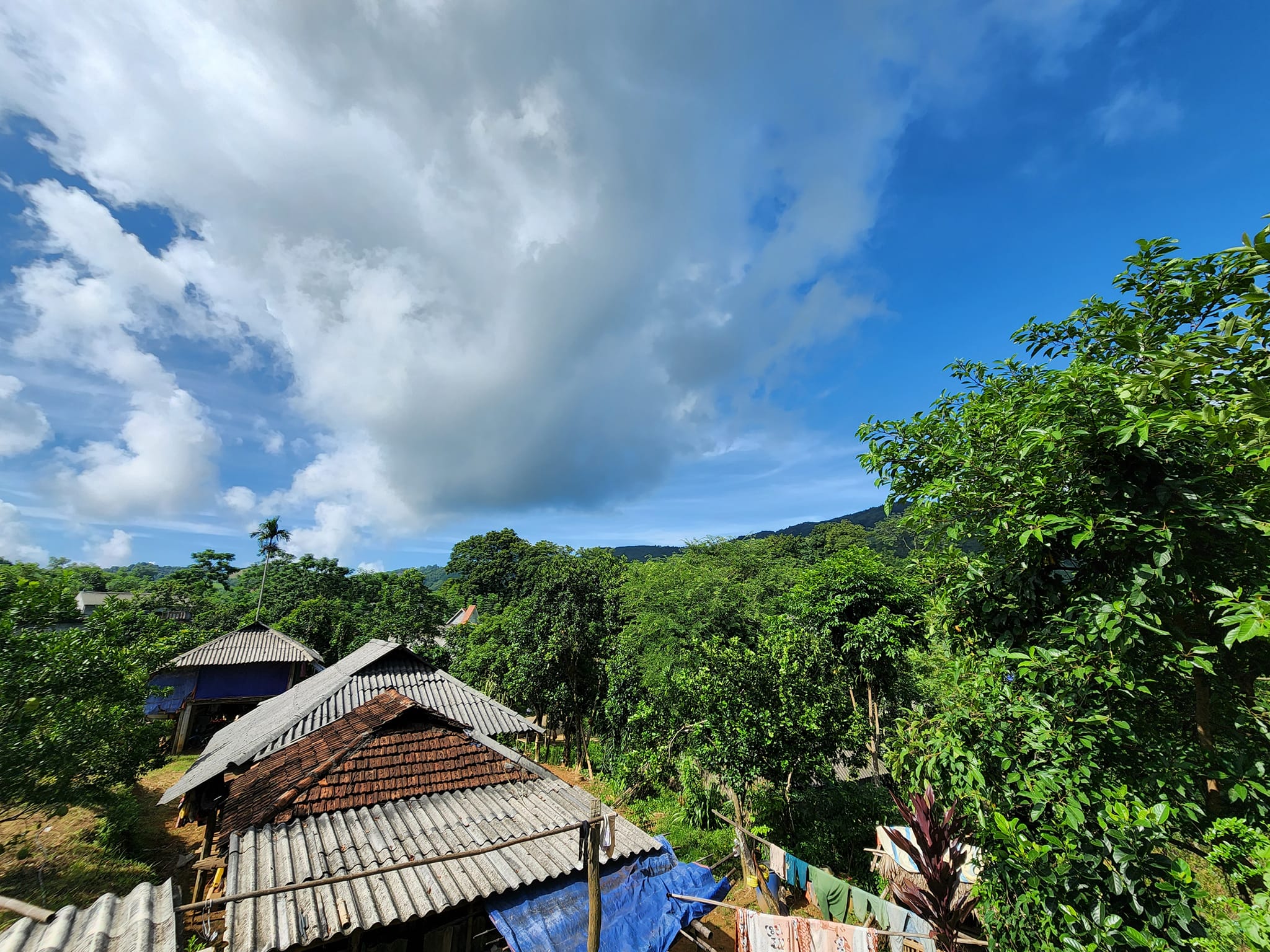 Bán đất sẵn nhà sàn tại Nam Phong Cao Phong 3405m2 chỉ 2,x tỷ Tổng diện tích lên tới 3405m2