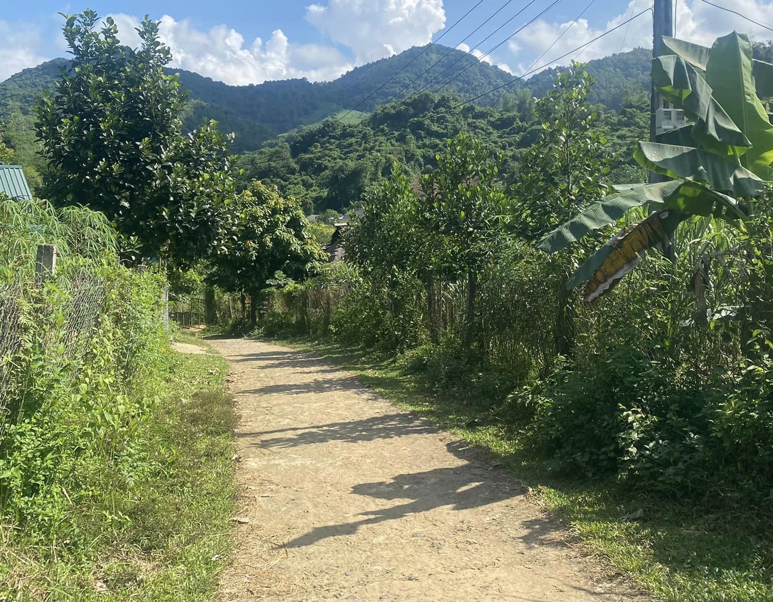 Sở hữu về tay bds liền kề dự án tại Cao Phong Mô tả: Diện tích 1600m Chỉ cách ql 6 khoảng 6km