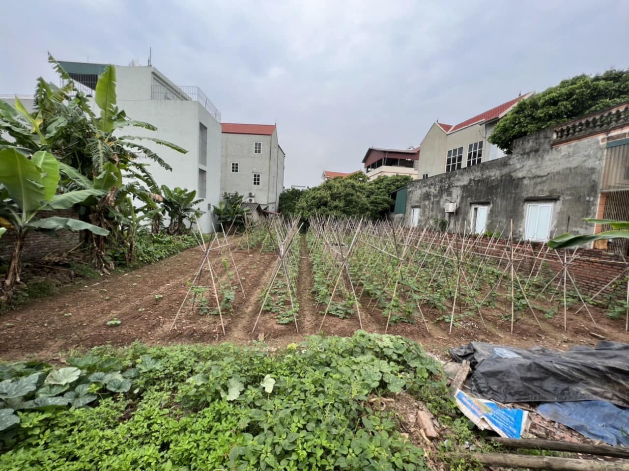 Bán Đất Đức Giang, Hoài Đức 100m Ô tô, Đầu tư, Kinh doanh 1,x tỷ