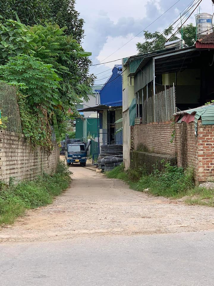 Bán đất ở bản Co Cáng, phường Nam Thanh, thành phố Điện Biên Phủ.