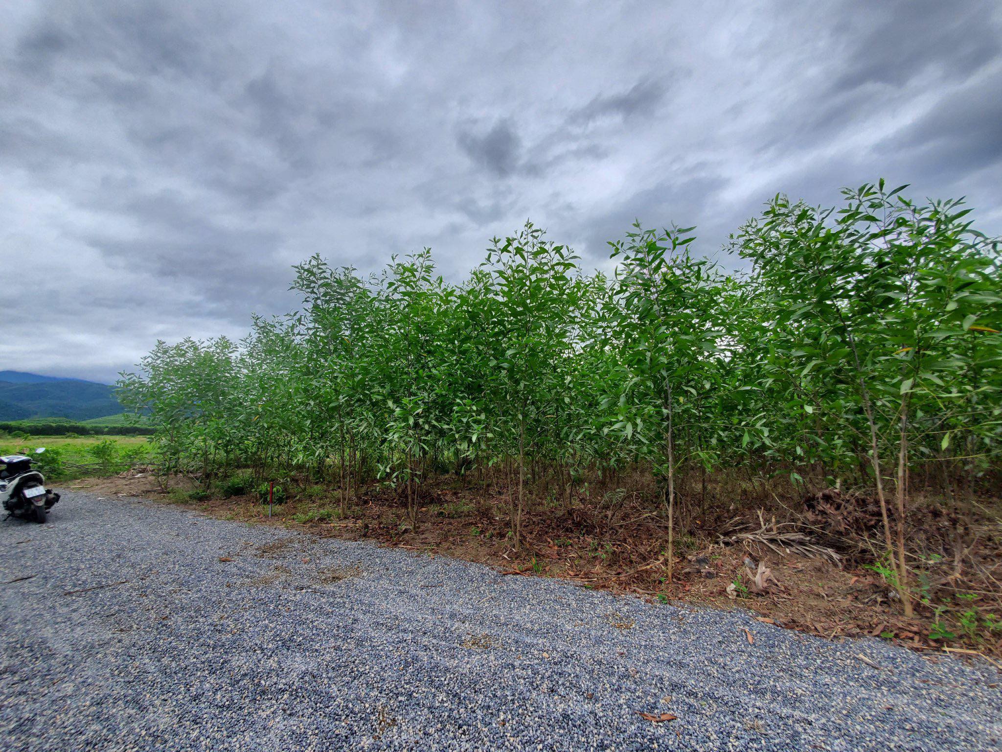 Bán Lô Đất Khánh Vĩnh View SUối Cực Đẹp giá chỉ 380tr có đước gần 500m2