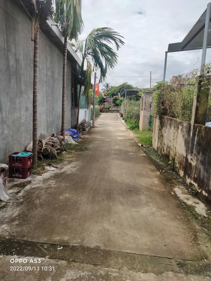 Bán đất tại đội 6 xã Thanh Hưng, Điện Biên.