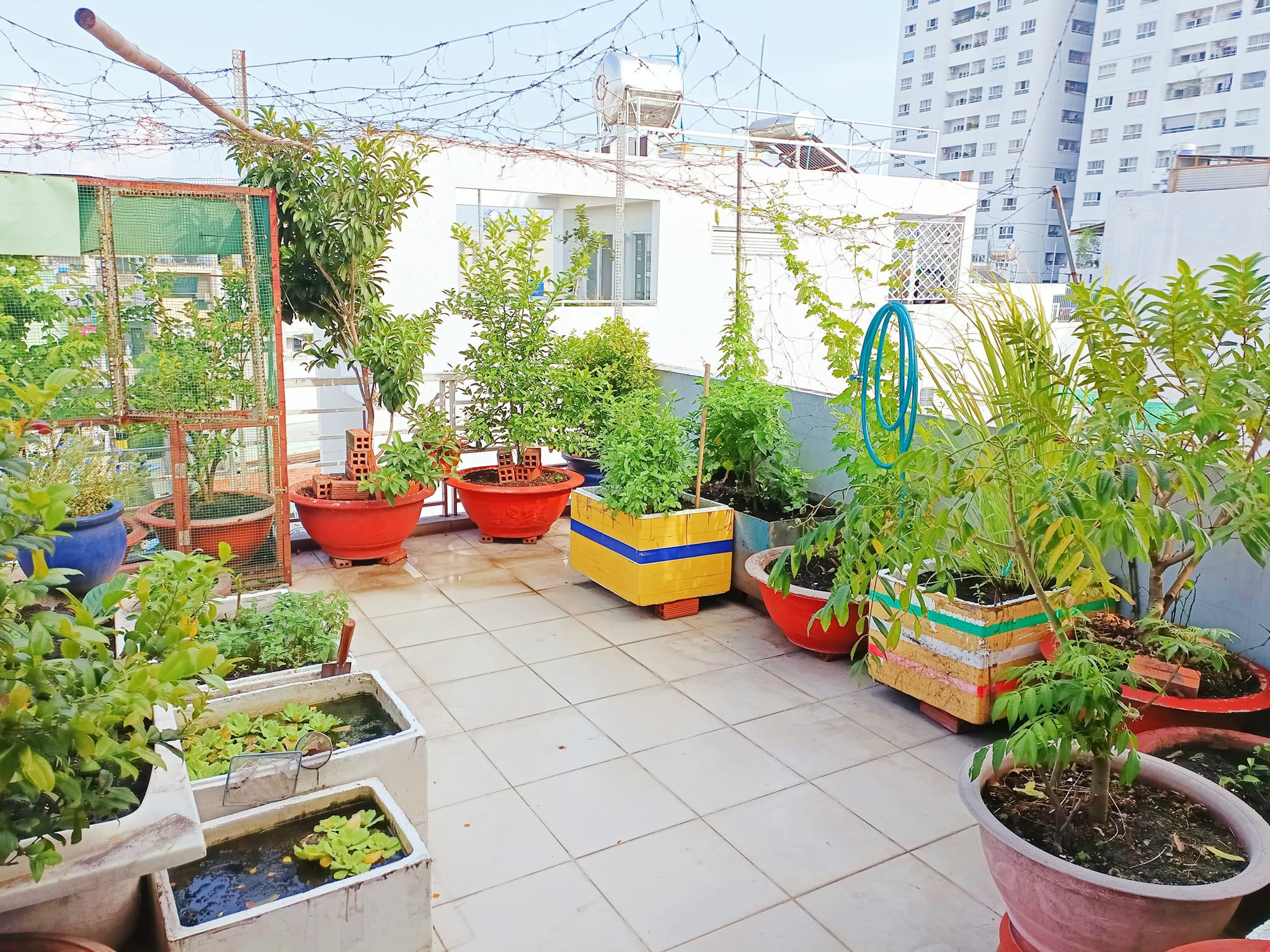 Nguyễn Văn Nghi 48m2 đầy đủ công năng, FULL tiện ích