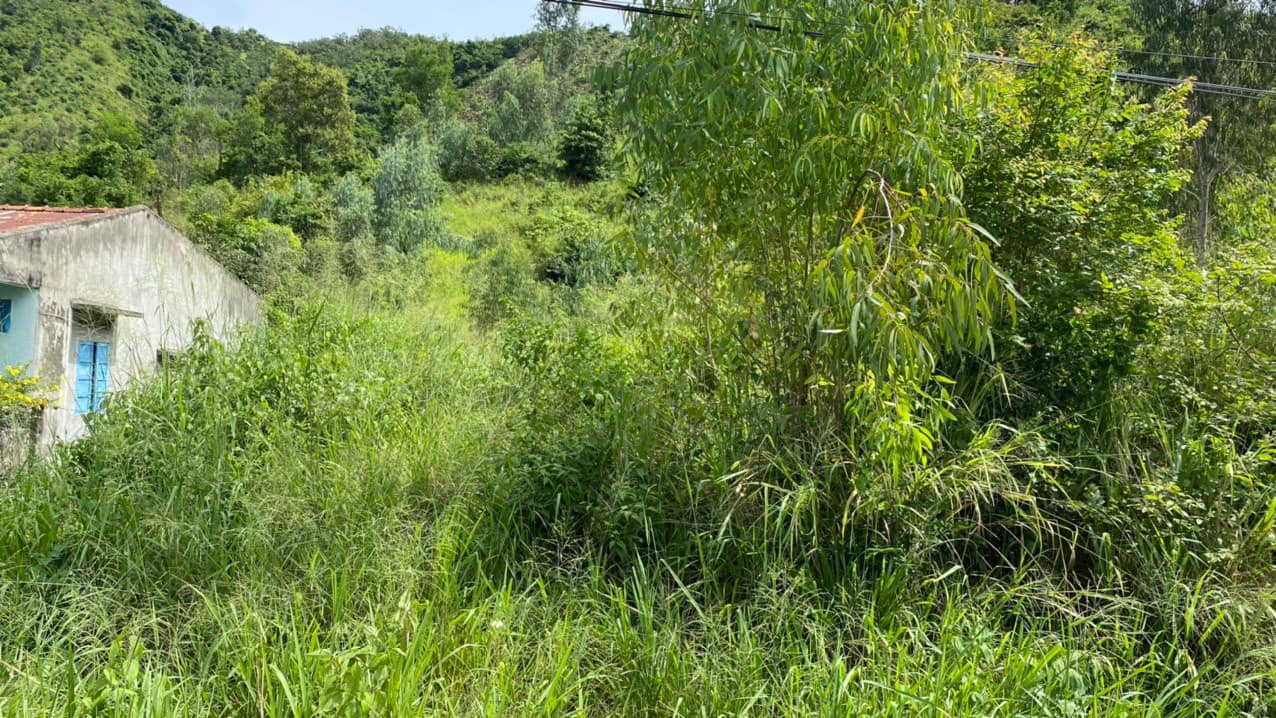 Bán Lô Đất Đẹp ĐƯờng DT3 Suối Tân Cam Lâm Cam Ranh Khánh Hòa