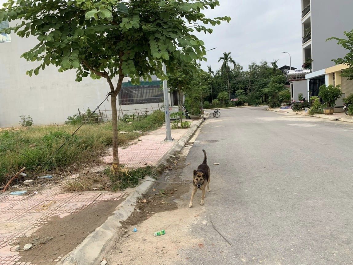 BÁN ĐẤT KHU TÁI ĐỊNH CƯ 3, THÀNH PHỐ ĐIỆN BIÊN PHỦ