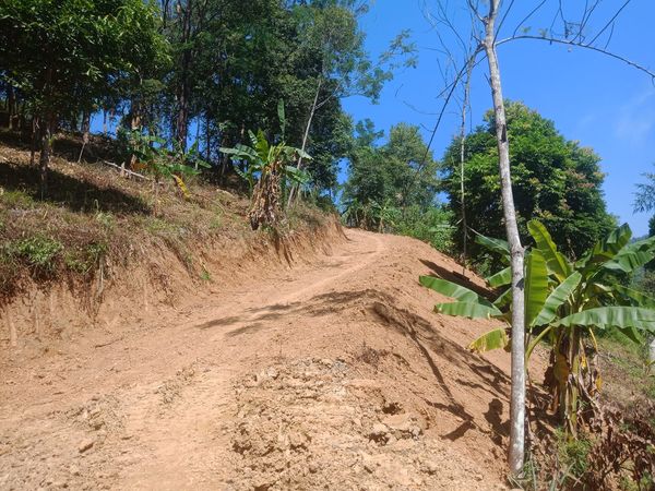 Cần bán đất nông nghiệp tại bản Tà Lèng, TP Điện Biên Phủ, Điện Biên