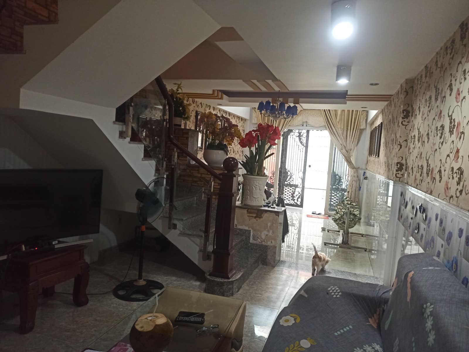 Bán Nhà Tân Phú Sát MT Trần Tấn, 65m2, 5 Tầng, Hẻm 7m, Nhỉnh 9 Tỷ