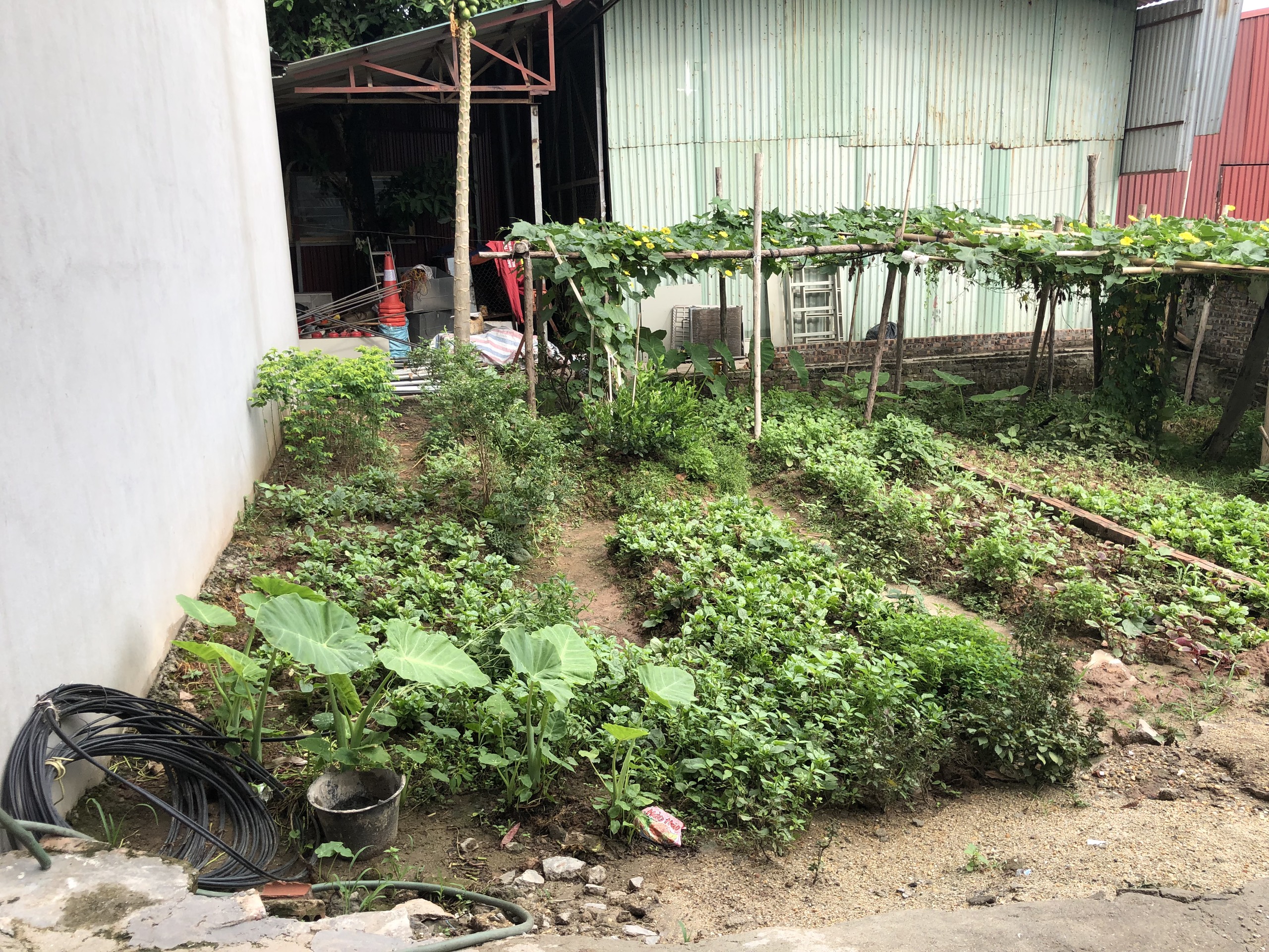 Cần bán gấp lô góc 41m Tổ 15 Phúc Lợi, Long Biên: