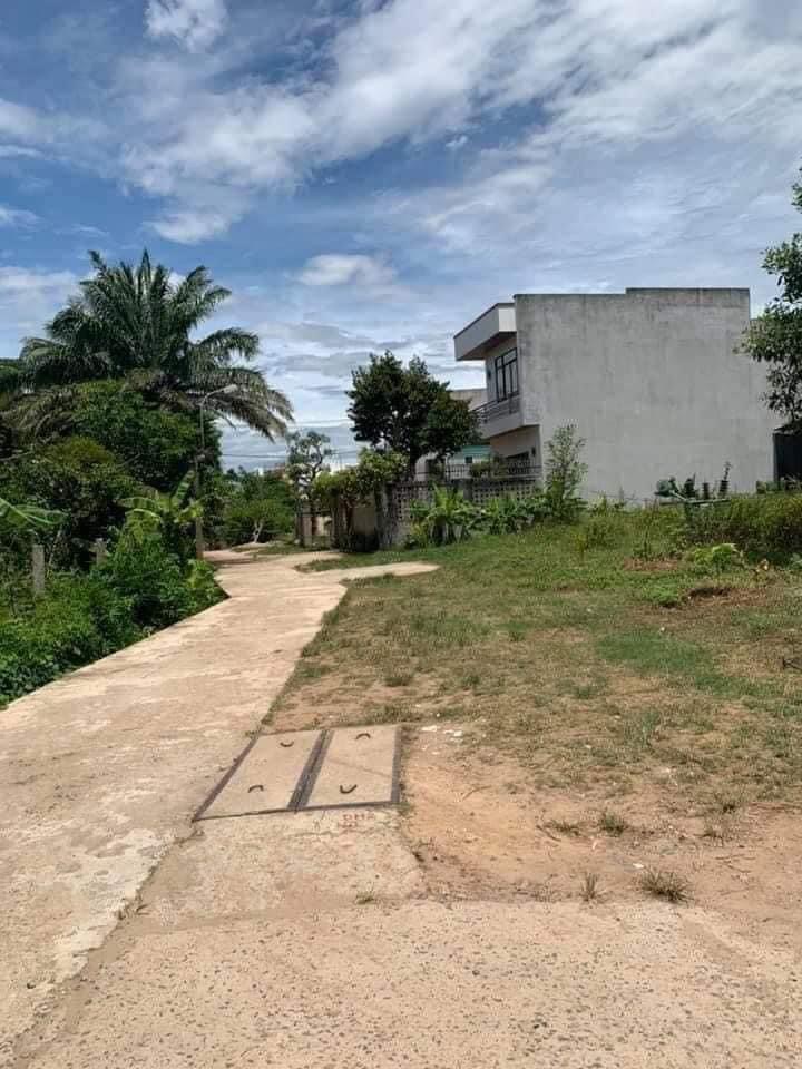 Bán lô đất p5 - gần trường chuyên Lê Quý Đôn