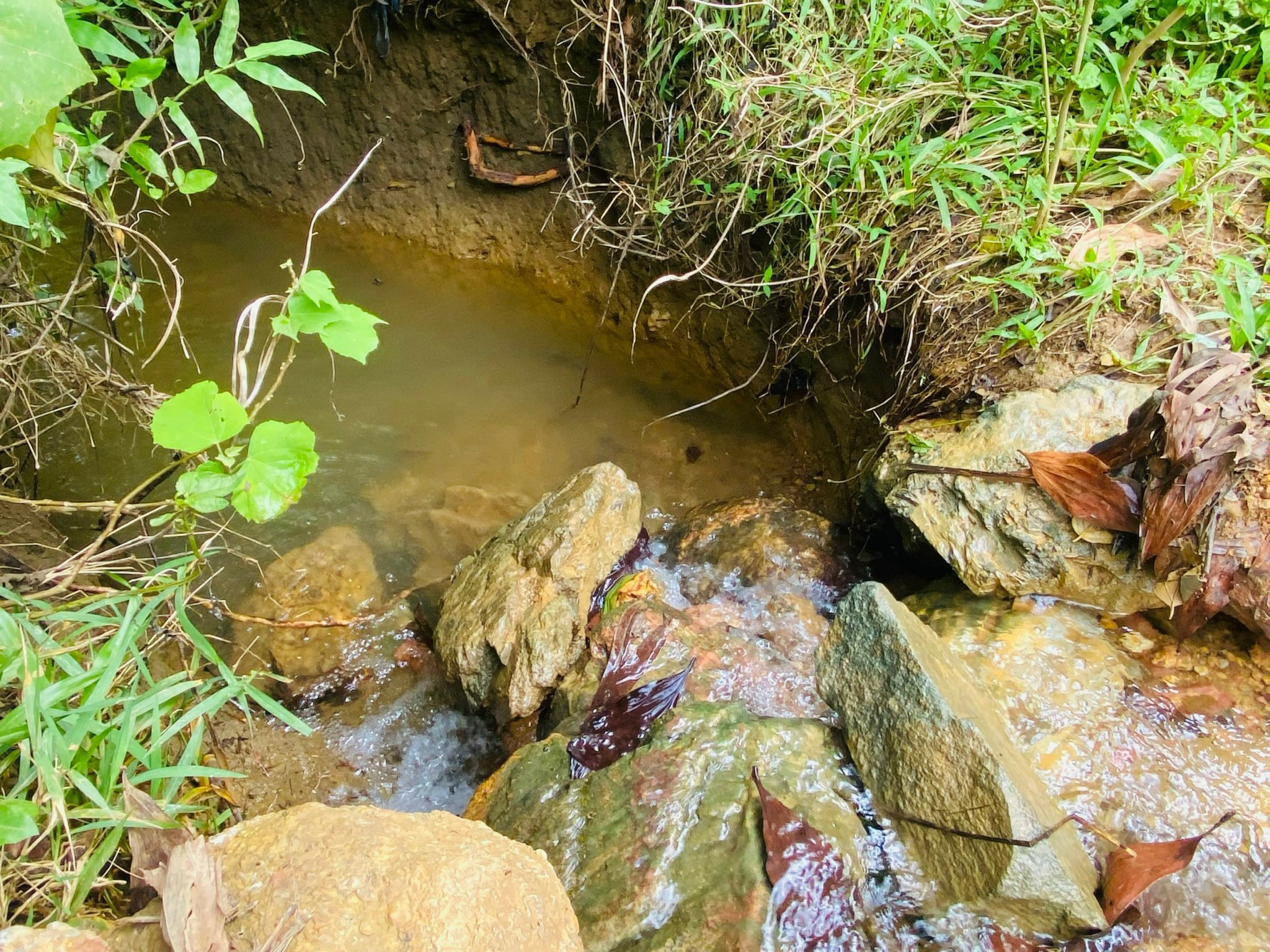 Tổng 1.4ha có thổ cư, suối chảy trong đất, giao thông thuận lợi giá 1.x tỷ