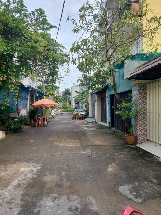 58m2